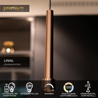 Lucide Premium LINIAL TUBIZ Pendelleuchte - 1-Phasen Stromschiene / Schienensystem smart  - Smart - 48V Track - 1xLED - Champagne